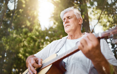 Image showing Senior man, guitar and woods for camping, music and relax with freedom, peace and outdoor in summer. Elderly guy, instrument and performance in forrest, sunshine and retirement on vacation in nature