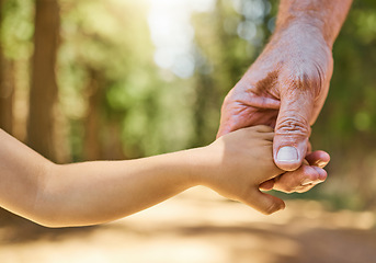 Image showing Closeup, holding hands and senior man with son, forest or support with peace, love or care with bonding. Zoom, male person or kid touching palms, helping hand or freedom in nature, adventure and walk