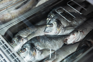 Image showing Fish and seafood stall in a market