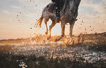 Image showing Horse riding, outdoor and water for adventure with sunset for fun or travel in closeup. Animal, running and rider with splash in nature with stream for trip or hobby with stallion on rural farm.