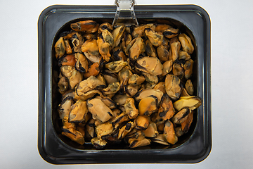 Image showing Mussels shrimp in plastic container