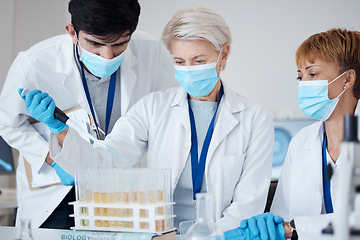 Image showing Research, covid team and employees in a lab for healthcare innovation, medical analytics or science. Medicine, education and scientists with face mask and teamwork to study a liquid or chemical