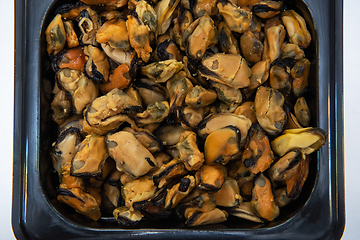 Image showing Mussels shrimp in plastic container