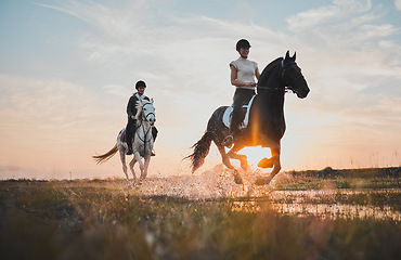 Image showing Adventure, girl and horse riding with sunset or water for holiday with bonding on field. Animal, rider and female person with splash in river for travel in outdoor at ranch for hobby or fun and race.