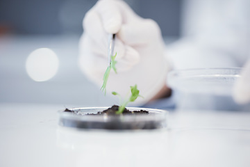 Image showing Plant science, research and closeup hands for analysis or a leaf for an investigation on growth. Innovation, medical and a scientist with a check for progress on ecology for sustainability in a lab