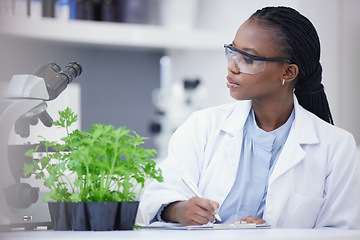 Image showing Plants, scientist or black woman writing for research, cannabis inspection or sustainability innovation. African person in science laboratory for leaf growth notes, weed info or floral agro analysis