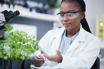Image showing Plants, scientist or black woman writing for inspection, cannabis research or sustainability innovation. African person in science laboratory for leaf growth notes, weed info or CBD agro analysis