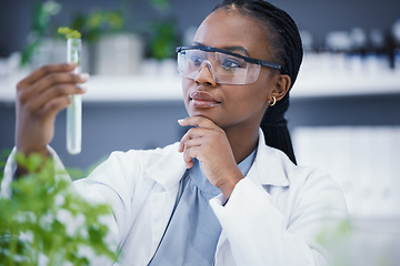 Image showing Plants, test tube and scientist woman thinking, solution and analysis in cannabis research and growth check. African person in science laboratory with medical focus for pharmaceutical or CBD benefits