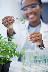Image showing Black woman, scientist and research with plants in test tube at laboratory for analytics or innovation. Zoom, biologist and leaf in glass equipment for study at work with agriculture for environment.
