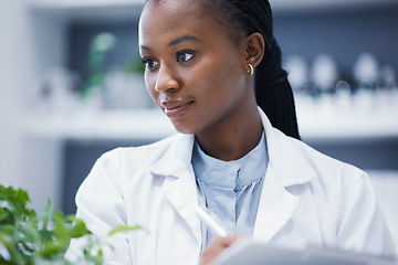 Image showing Plants, black woman or scientist writing notes for research, agro data analysis or sustainability growth. Science education, studying biotechnology or biologist in laboratory for leaf development