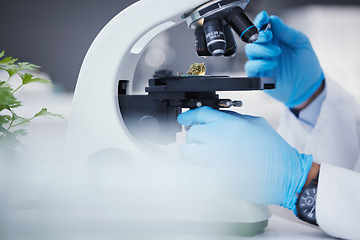 Image showing Weed, microscope or hands of scientist in laboratory research, marijuana experiment or analysis test. Innovation, biotechnology or science researcher studying with equipment to examine weed bud plant