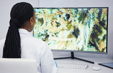 Image showing Computer, woman or scientist with marijuana research for sustainability or plants growth data analysis. Science, studying weed or biologist in laboratory with cannabis for development on pc screen