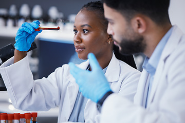Image showing Science, collaboration and scientists with a blood test in a lab working on a experiment, test or exam. Medical, pharmaceutical and team of researchers doing scientific dna research in a laboratory.