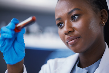 Image showing Science, blood vial and female scientist in a lab working on a medical experiment, test or exam. Biotechnology, pharmaceutical and African woman researcher doing scientific research in a laboratory.