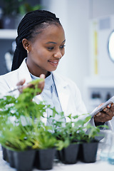 Image showing Plants, black woman or scientist reading notes for research, data analysis or sustainability growth. Science documents, studying biotechnology or happy biologist in laboratory for leaf development