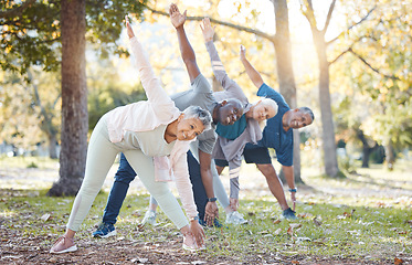 Image showing Yoga, park and old people stretching, fitness and exercise with happiness, wellness and stress relief. Senior women, nature and elderly men outdoor, relax and workout goal with progress and health