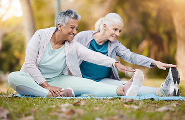 Image showing Stretching, yoga and senior women in park for muscle health, retirement workout or training on grass or ground. Pilates, exercise and happy, diversity and elderly friends or people in outdoor fitness