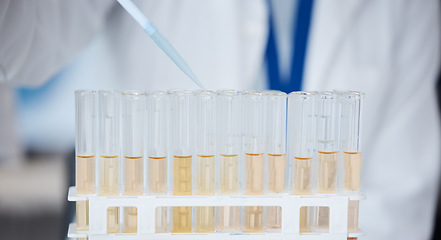 Image showing Pipette, test tube and scientist with liquid for research, experiment and sample. Science, medical professional and doctor with dropper for chemistry, medicine and healthcare study in laboratory.