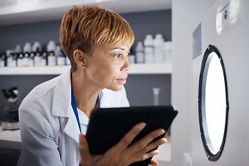 Image showing Scientist, tablet and woman in laboratory with incubator machine for test, analysis or research study. Technology, medical professional and doctor of science check equipment for biology experiment.