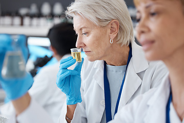 Image showing Essential oil, development and scientist smell sample in a lab doing research of organic and natural fragrance. Serum, treatment and collagen expert working on a skincare, perfume or beauty product