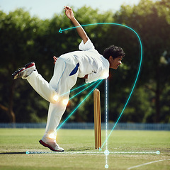 Image showing Cricket bowling, man and field on grass with overlay, science and mechanics for speed, sport and technique for contest. Indian guy, mathematics or vision for holographic analytics for balance in game