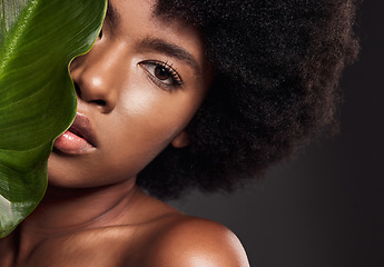 Image showing African woman, leaf and studio portrait with beauty, afro and wellness with natural glow on skin by dark background. Young model, girl and plant for skincare, organic makeup and clean aesthetic