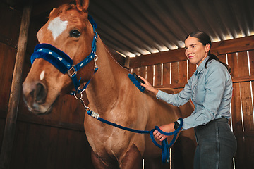 Image showing Equestrian, ranch and a woman with her horse in a barn, brushing fur before training as a jockey. Farm, sports and a female rider cleaning her pet in a stable preparation of an equine event or hobby