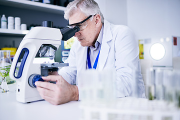 Image showing Senior scientist, man and microscope, analysis and science study with medical research and biotechnology in lab. Male person, doctor and pathology, check test sample with scientific experiment