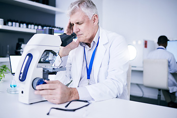 Image showing Headache, microscope and scientist man with research stress, results fail or virus analysis in laboratory. Pain, tired and science person or senior doctor in biotechnology with healthcare problem