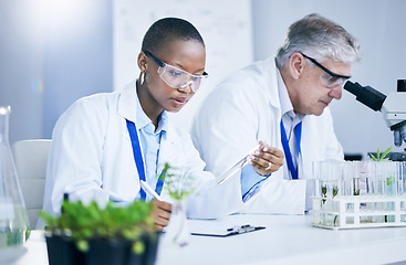 Image showing Science, agriculture and innovation with doctors in a laboratory together for sustainability or research. Medical, sample and green pharmaceuticals with a scientist team in a lab to study plants