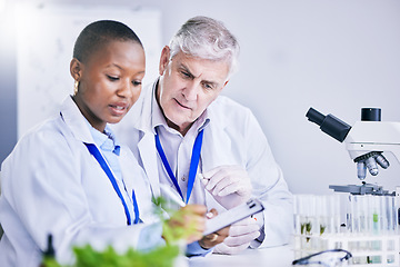 Image showing Paperwork, teamwork or scientist writing research notes for analysis on experiment, medical info or innovation. Science, collaboration or researchers in laboratory with documents for agro development