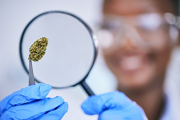 Image showing Scientist, analysis of marijuana bud and magnifying glass, science study for medical research and ecology in lab. Person with weed plant, CBD and check cannabis test sample for scientific experiment