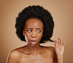 Image showing Worry, black woman and hair problem for afro in studio isolated on a brown background. Damage, hairstyle and sad African model with split ends, frizz and loss after natural salon treatment for beauty