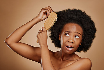 Image showing Black woman, problem and brushing hair in studio, brown background and tangled afro. Beauty, unhappy female model and comb knot in hairstyle with anxiety, pain and stress of damage to curly texture