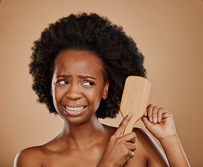 Image showing Black woman, hair problem and pain with brush in studio, brown background and dry tangled afro. Beauty, unhappy female model and comb knot in hairstyle with anxiety, stress or damage to curly texture