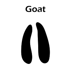 Image showing Goat Footprint