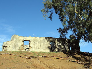 Image showing The old house and the tree. Cyprus