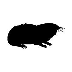 Image showing Mole-Rat Silhouette