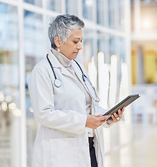 Image showing Doctor, woman and tablet for medical review, data research and healthcare app in hospital. Serious female physician, digital technology and planning for telehealth consulting, surgery and online info