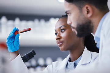 Image showing Science, blood test and team of scientists in lab working on medical experiment, study or exam. Biotechnology, pharmaceutical and researchers in collaboration doing scientific research in laboratory.