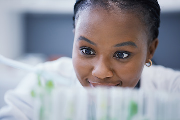 Image showing Research, black woman or scientist with plants in test tubes for analysis, sustainability or leaf growth. Science blur, studying biotechnology or ecology expert in a laboratory for agro development