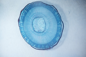 Image showing Virus molecule, closeup and lab for science, medical research or study for biology in pharma industry. Zoom, atom or cell of bacteria for data, microscope view or investigation for health innovation