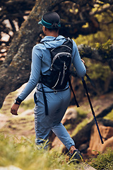 Image showing Hiking, travel and back of woman with stick for outdoor fitness, path and gear. Freedom, adventure or female hiker walking with trekking pole for exercise, health or balance in nature, trail and hill