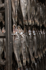 Image showing Smoked fish production concept