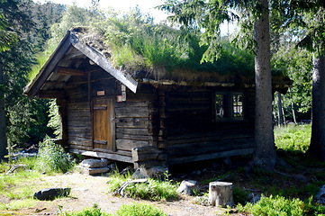 Image showing Moss, log cabin and house in woods, nature or countryside outdoor in spring. Home, forest and chalet, rustic cottage or vintage architecture in field, landscape environment and trees, grass or plants