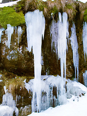 Image showing Icicles, rock face and moss on cliff outdoor in nature, waterfall and mountain ecology in winter. Frozen ice hanging on stone at landscape, crystal and natural snow covering environment in Europe