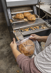 Image showing Sourdough bread slicing