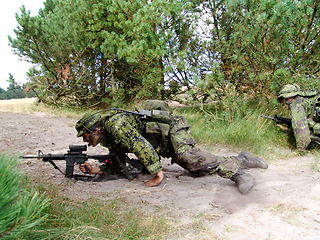 Image showing Military, soldier and army with training in forest with camouflage for fitness, exercise or challenge outdoor with gear. People, service and hiding for mission or bootcamp with incognito for survival