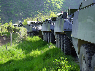 Image showing Nature, training and military transportation for the army, service or a mission. Forest, camping and transport for the war, battle tank or bootcamp in the countryside for special forces or defense