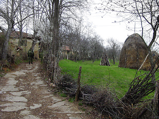 Image showing Soldier, military patrol and road in the countryside with a man walking on a farm during a war or battle. Army, officer and peace mission with a person in a rural village for border security